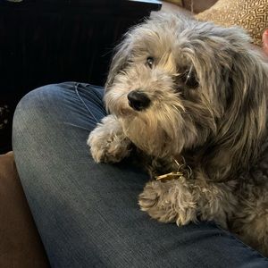 Meet your Posher, Techelle